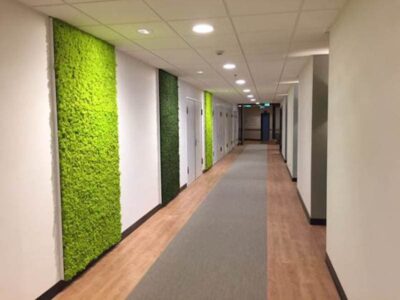 Giardino verticale interno - verde verticale interni - UMC Utrecht