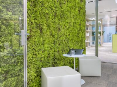 Stabilized Moss Wall - MOSSwall® Fusion