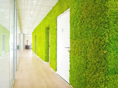 Stabilized Moss Wall - MOSSwall® Room Divider